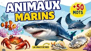 Miniature : Les animaux marins En français | Marin animals in French | vocabulaires essentiels pour débutants