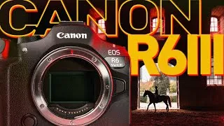 Miniature : Canon a enfin trouvé la formule parfaite : le R6 Mark III !