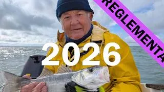 Miniature : Pêche du bar et du lieu jaune 2026 + quotas et déclaration des prises