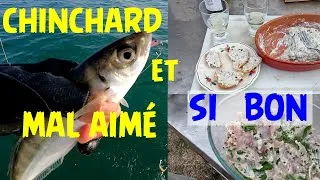 Miniature : PECHE au CHINCHARD  méconnu mais si bon en cuisine
