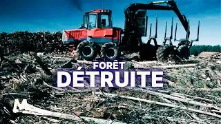 Miniature : Le Temps Des Forets | L’industrialisation cachée