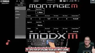 Miniature : My tips for optimizing your A/D input using | Yamaha MODX M & Montage M