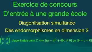 Miniature : Diagonalisation simultanée en dimension 2 | Exercice de concours corrigé (ℝ et ℂ)