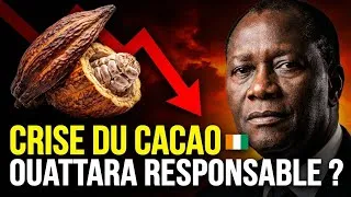 Miniature : Côte d’Ivoire : Ouattara est-il responsable de la crise du cacao ? | Décryptage