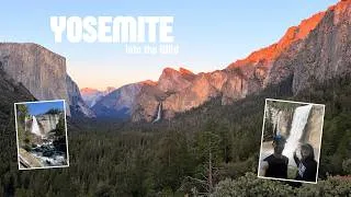Miniature : Une journée pour découvrir YOSEMITE - Vlog USA Episode 9