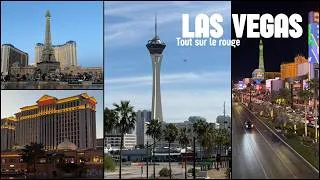 Miniature : ON A TOUT PERDU À LAS VEGAS !!!💸 Vlog USA Épisode 7