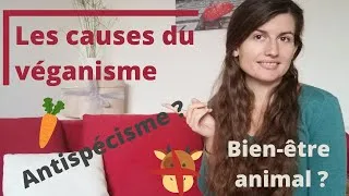 Miniature : Les CAUSES DU VEGANISME : antispécisme & bien-être animal