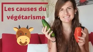 Miniature : Les CAUSES DU VEGETARISME : bien-être animal, problèmes sanitaires & pollution