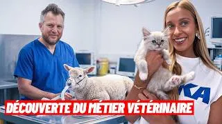Miniature : 48H Dans La Peau D’un VÉTÉRINAIRE 🩺🐶 ( Feat. NicoVéto )