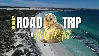 Miniature : On explore l'ouest de l'AUSTRALIE P2 (Geraldton, Jurien Bay, Wedge Island...)