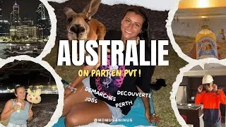 Miniature : PVT Australie : Nos premiers pas à Perth🦘 (démarches, recherches d'emplois, kangourous)