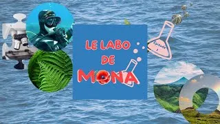 Miniature : Exploration sous-marine : Les trésors de la Mer Méditerranée avec Nathan ⚓