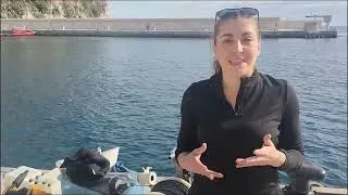 Miniature : Pollution des eaux, réchauffement climatique : comment Monaco contrôle ses eaux côtières ?