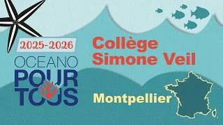 Miniature : College Simone Veil Montpellier