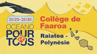 Miniature : College de Faaroa Raiatea