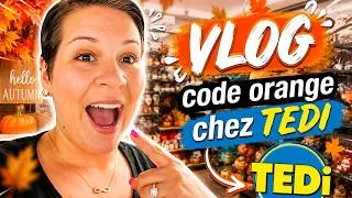 Miniature : *VLOG* 🍂🍁code orange chez TEDI, déjà...