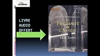 Miniature : La fraternité de l'anneau Le seigneur des anneaux