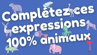 Miniature : Découvrez les animaux dans les expressions françaises grâce à ce nouveau Quiz de 20 questions