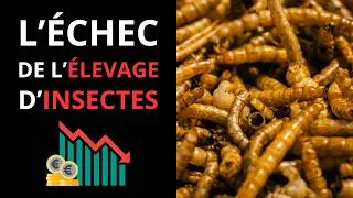 Miniature : 🇫🇷 🐛 🦗 🪲 L'échec du leader mondial de l'élevage d'insectes ayant levé plus de 600M€ | MonCarnivore 🥩