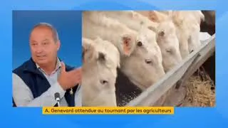 Miniature : 🚜 🇫🇷 On ne veut plus de fermetures d'exploitations 🟡⚫️ #agriculteurs  25.09.2024 | MonCarnivore 🥩