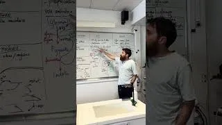 Miniature : Révision - L'essentiel des chapitres sur le muscle, l'ATP et le glucose - Terminale Spécialité SVT
