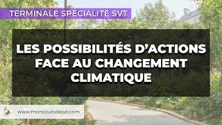 Miniature : Les conséquences du changement climatique et les possibilités d'action - Terminale Spécialité SVT