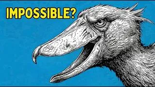 Miniature : RIEN chez ces oiseaux n'est normal