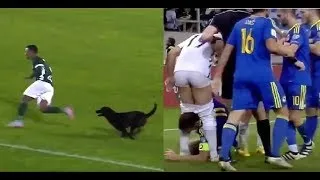 Miniature : Comedy Football Bizzare, compétences drôles, funny 2017● HD