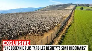 Miniature : On traitait l’Australie de folle pour ses clôtures géantes… la vérité a sidéré tous