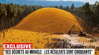 Miniature : Ils pensaient jeter des déchets… 20 ans plus tard, les scientifiques sont choqués
