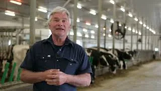 Miniature : Moderniser la ventilation d’une ferme laitière : résultats sur le terrain