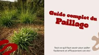 Miniature : Le guide complet du paillage en été (facile et efficace)