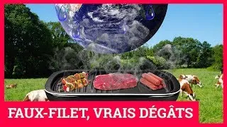 Miniature : Quand la viande saigne la planète