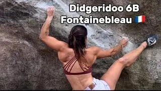 Miniature : Didgeridoo 6B en traversée bois rond auberge - Tamara Monkey Fontainebleau escalade bouldering