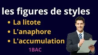 Miniature : Figures de style : La Litote, l'Anaphore et l'Accumulation Expliquées #education