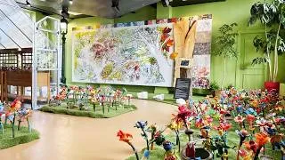 Miniature : Quand la nature raconte l’histoire des plaines d’Abraham