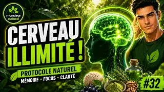 Miniature : Mémoire et Focus : Le Protocole Naturel pour Booster votre Cerveau #32