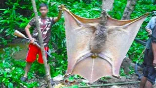 Miniature : Si Vous Voyez Ça Dans La Jungle, Courrez et Demandez de l'Aide