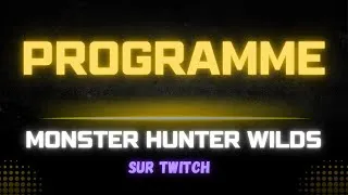 Miniature : MON PROGRAMME POUR MONSTER HUNTER WILDS !
