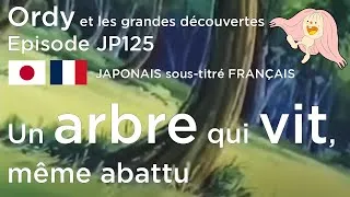 Miniature : Ordy et les grandes découvertes - Episode JP125 - Un arbre vit, même abattu