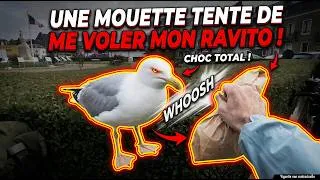Miniature : Tentative de record de rien en Gravel, à 3, sur 3 jours !