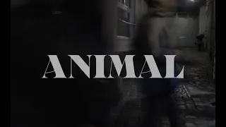 Miniature : [CLIP] GARDEN WITH LIPS - ANIMAL - extrait de l'album "Magnolia"