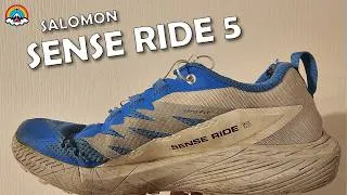 Miniature : SALOMON SENSE RIDE 5 — la chaussure trail polyvalente par excellence ?