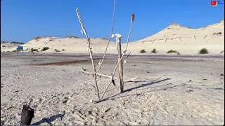 Miniature : MONTALIVET  🇲🇫 |  CHM Monta l'Arbuste Naturiste  |  Montalivet Surf TV