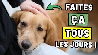 Miniature : 9 choses que vous faites rarement pour votre chien (mais que vous devriez faire chaque jour)