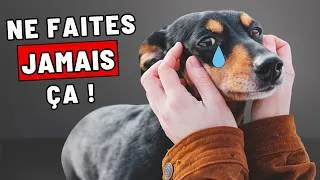 Miniature : 16 Choses Qu’un Chien Ne Pardonne JAMAIS