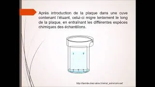 Miniature : Chromatographie sur couche mince (CCM)