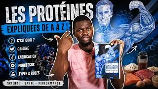 Miniature : LES PROTÉINES EXPLIQUÉES DE A À Z