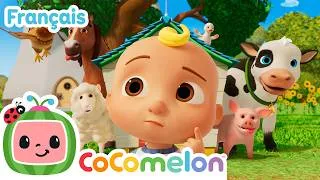 Miniature : La ferme de Mc Donald | 🐮Comptine Animaux | @CoComelonFrancais