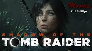 Miniature : Shadow of the Tomb Raider : progression dans la jungle Péruvienne (PC FR - 3440x1440 max settings)